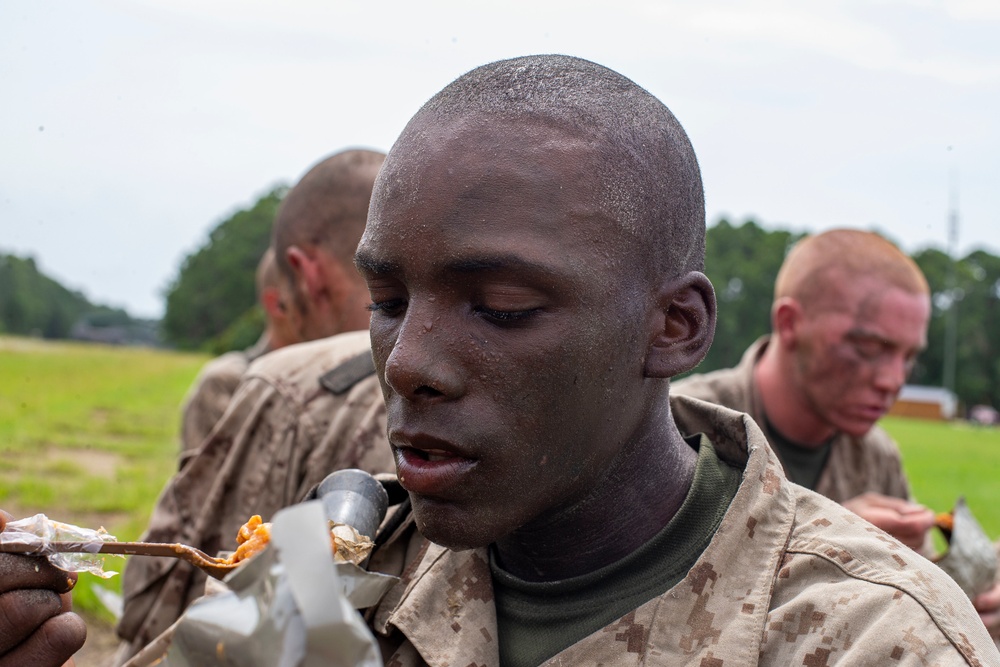 Delta Company Crucible