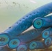 Pacific Lamprey Eel suctioned to viewing window at the Bonneville Lock &amp; Dam fish ladders.