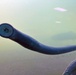 Pacific Lamprey Eel suctioned to viewing window at the Bonneville Lock &amp; Dam fish ladders.