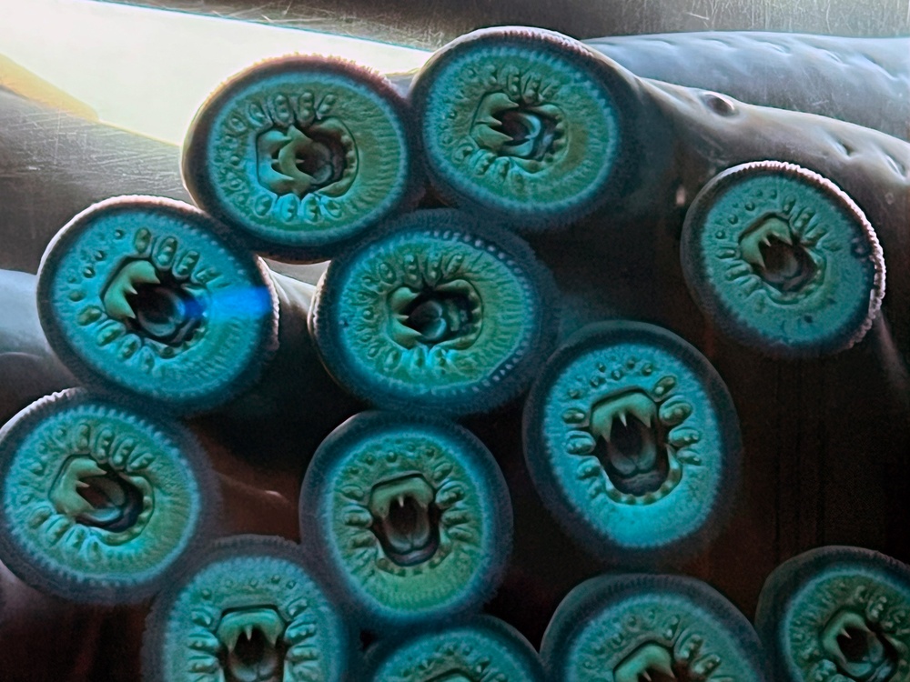 Pacific Lamprey Eel suctioned to viewing window at the Bonneville Lock &amp; Dam fish ladders.