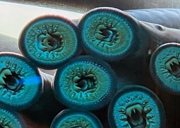 Pacific Lamprey Eel suctioned to viewing window at the Bonneville Lock &amp; Dam fish ladders.