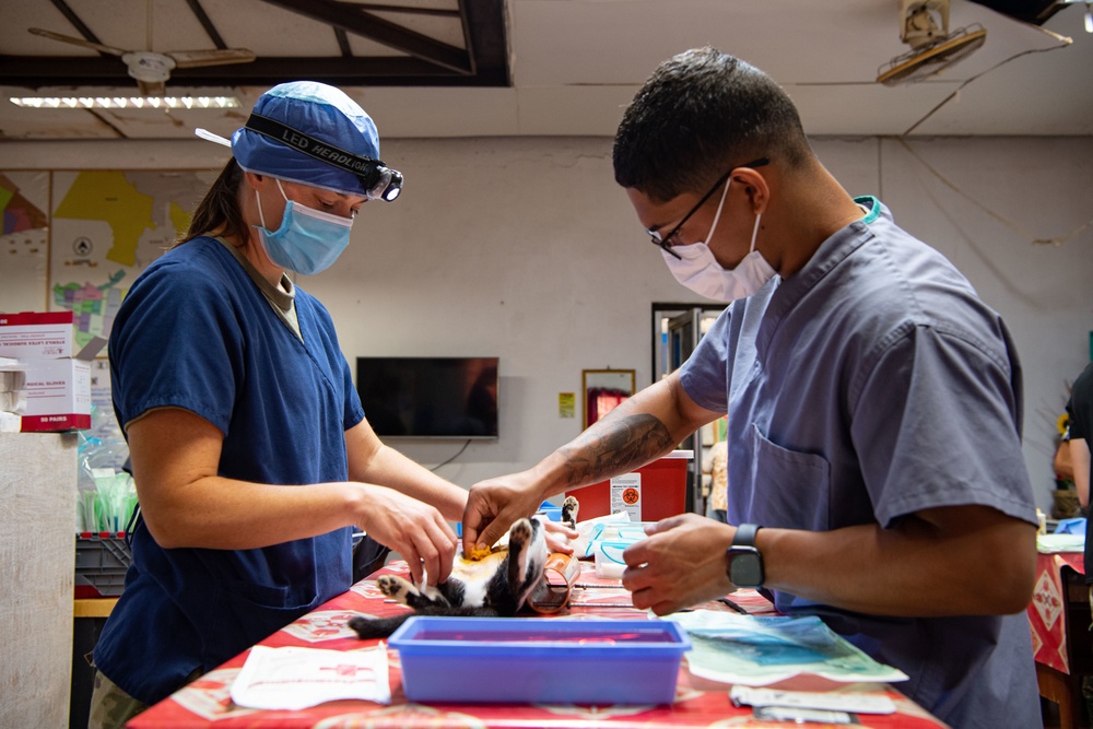 Pacific Partnership 2022 Veterinarians Operate at the Puerto Princesa City Veterinary Office