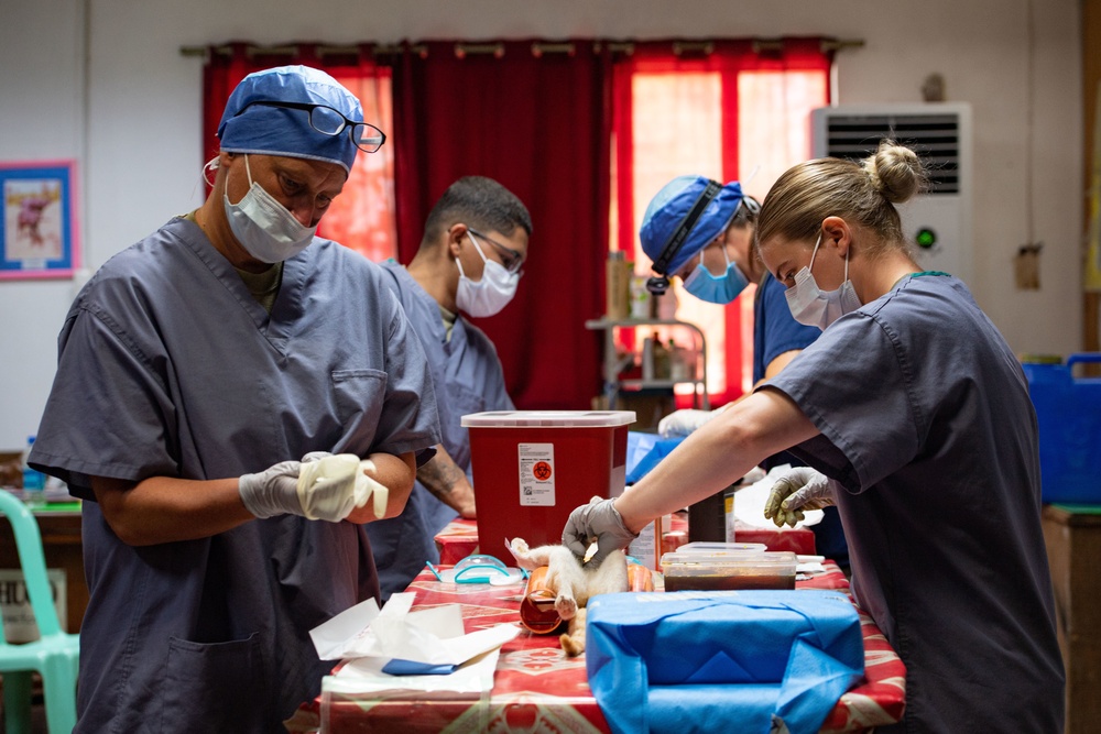 Pacific Partnership 2022 Veterinarians Operate on Animals at Puerto Princesa City Veterinary Office