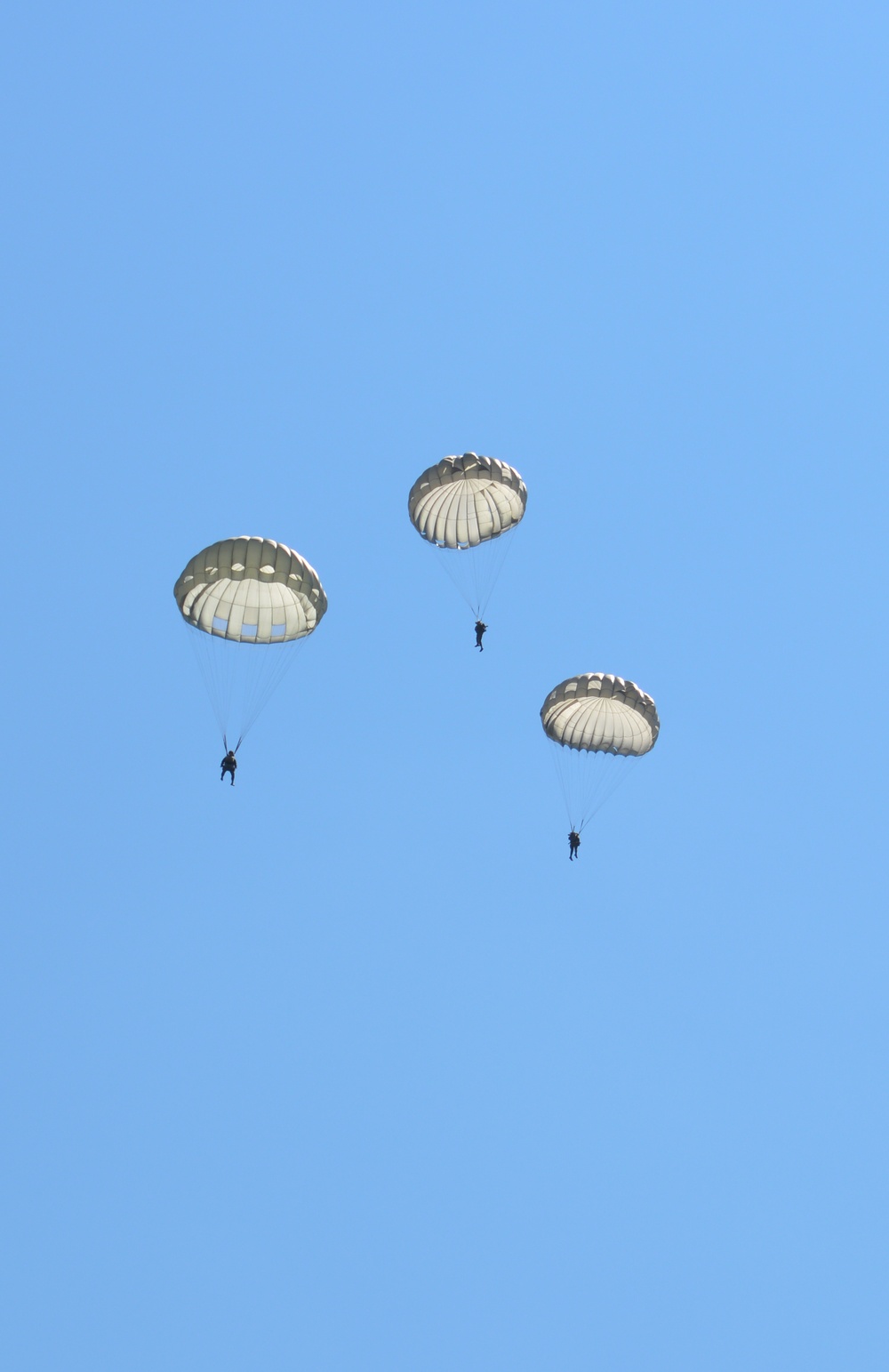 2022 Leapfest International Paratrooper Competition