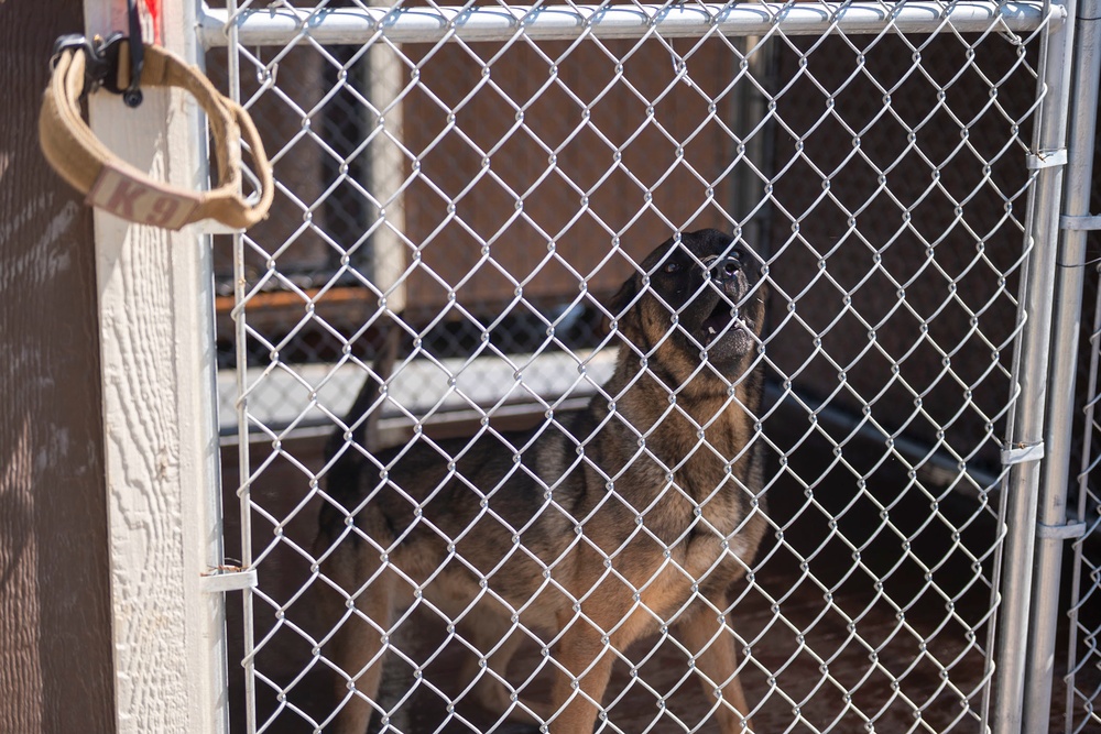 SFS prepares for new K-9 arrival, upgrades kennels