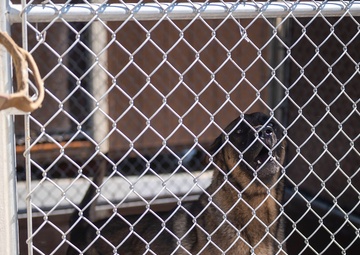 SFS prepares for new K-9 arrival, upgrades kennels