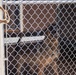 SFS prepares for new K-9 arrival, upgrades kennels