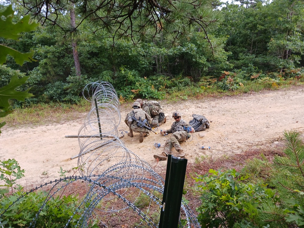 Sappers clear the way in Cape Cod