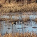 Kanopolis Lake annual waterfowl blind permit drawing