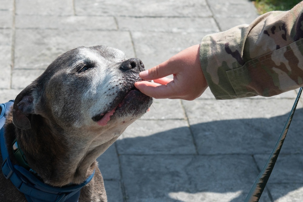 Niagara Air Reserve Station welcomes Lloyd the dog