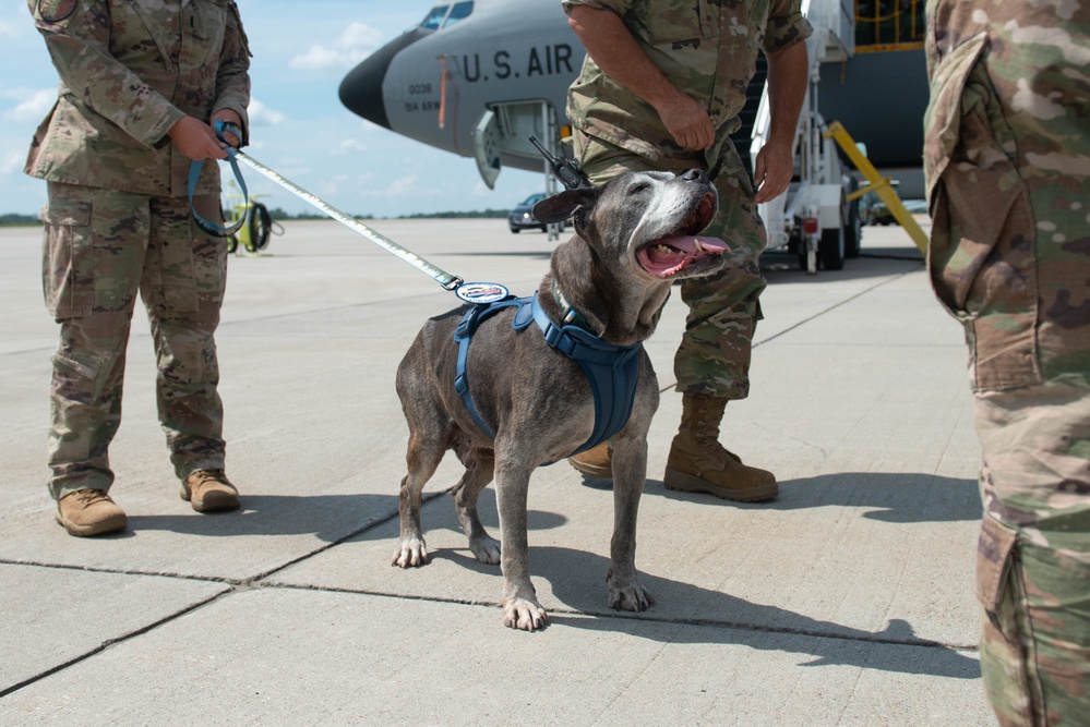 Niagara Air Reserve Station welcomes Lloyd the dog