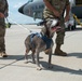 Niagara Air Reserve Station welcomes Lloyd the dog