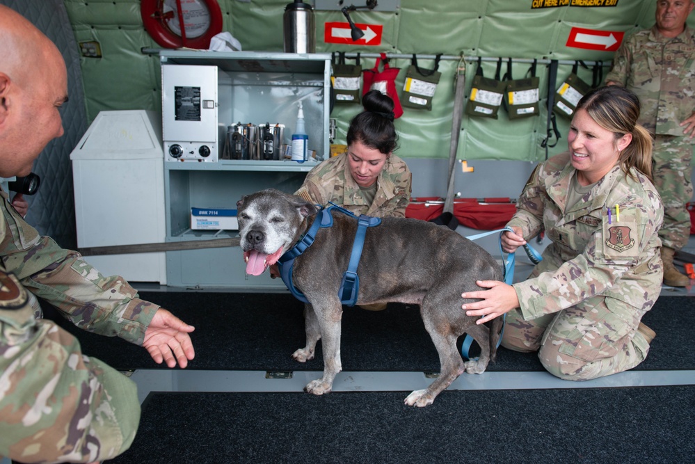 Niagara Air Reserve Station welcomes Lloyd the dog