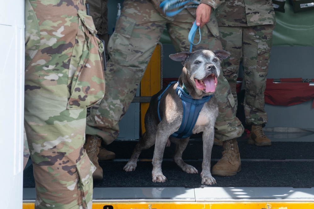 Niagara Air Reserve Station welcomes Lloyd the dog