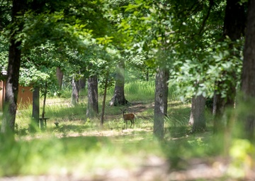 MCCS Quantico continues renovation of Lunga Recreation Facility