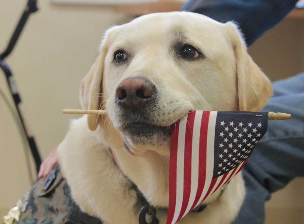 Presidential Dog Visits Veterans