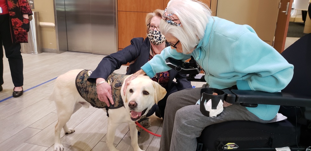 Former Bush Dog Comforts Military Veterans