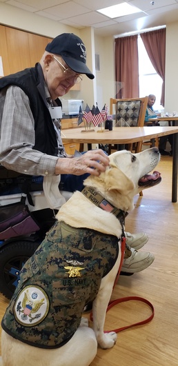 Former Presidential Dog Warms Hearts at Veterans Home