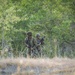 US Army Forces Command Best Squads Compete in a Patrol Lane
