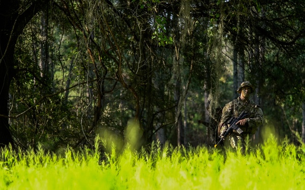 &quot;Shh&quot; - 93d AGOW TACPs embed, assess, relay