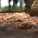 &quot;Shh&quot; - 93d AGOW TACPs embed, assess, relay