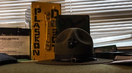 Oh How Far I've Come - Sgt. Plaskon