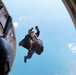 The U.S. Army Parachute Team jumps for the Chicago Air and Water Show