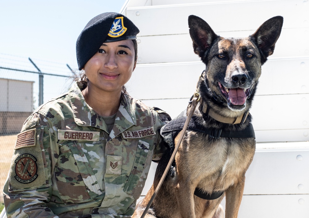 Air force k-9 sale