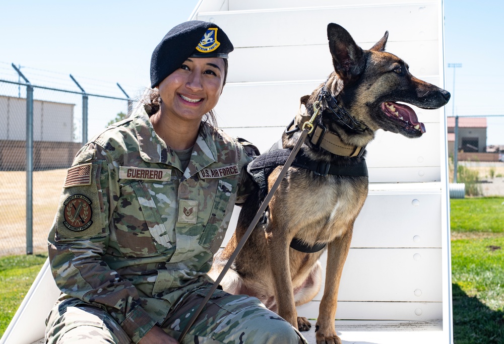 60th SFS K-9