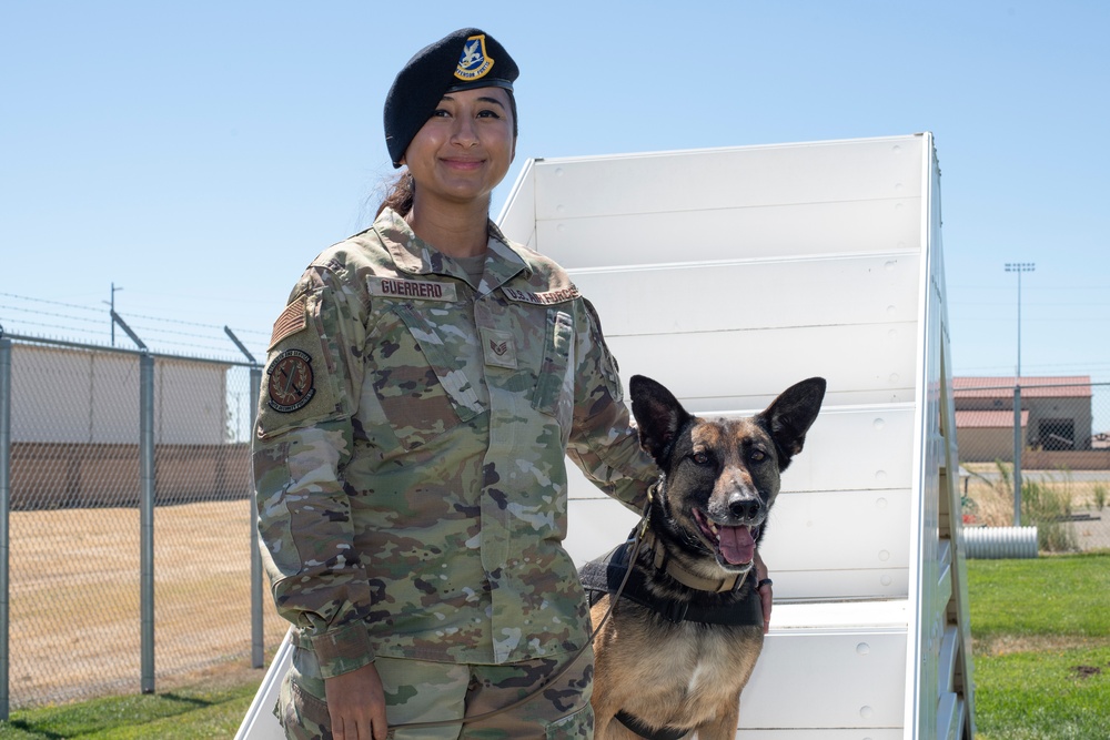 60th SFS K-9