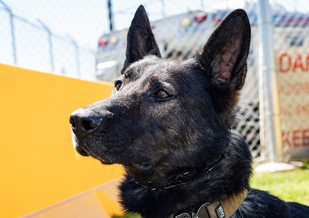 60th SFS K-9