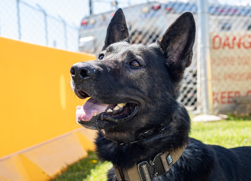 60th SFS K-9