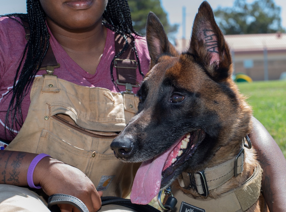 60th SFS K-9