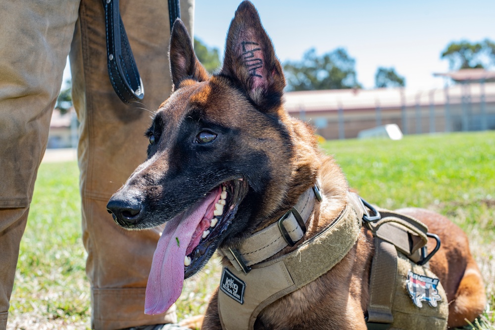 60th SFS K-9