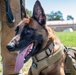 60th SFS K-9