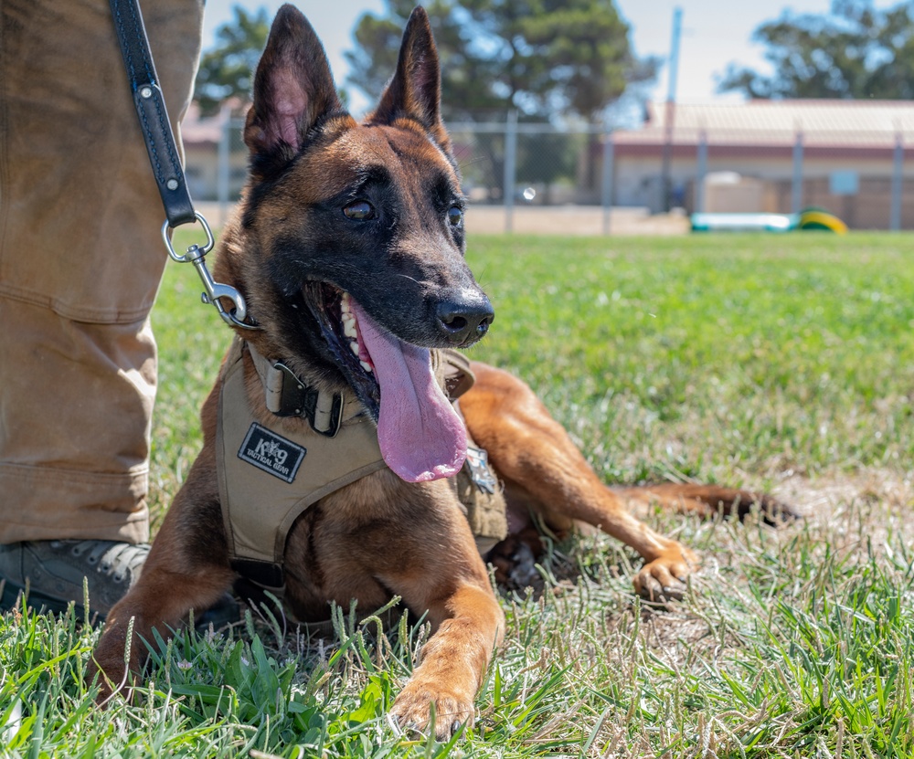 60th SFS K-9