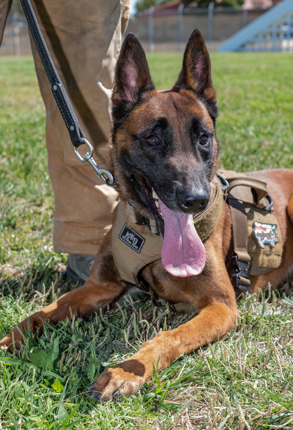 60th SFS K-9