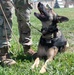 60th SFS K-9