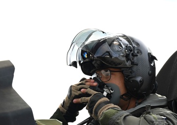 RAGE with the Gorillas: Capt. Root