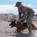 99SFS dogs at work