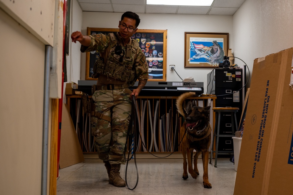 99SFS dogs at work