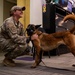 99SFS dogs at work