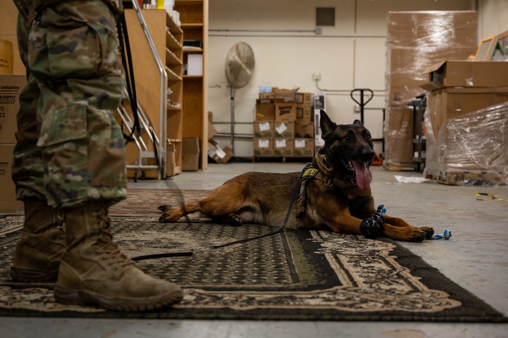 99SFS dogs at work
