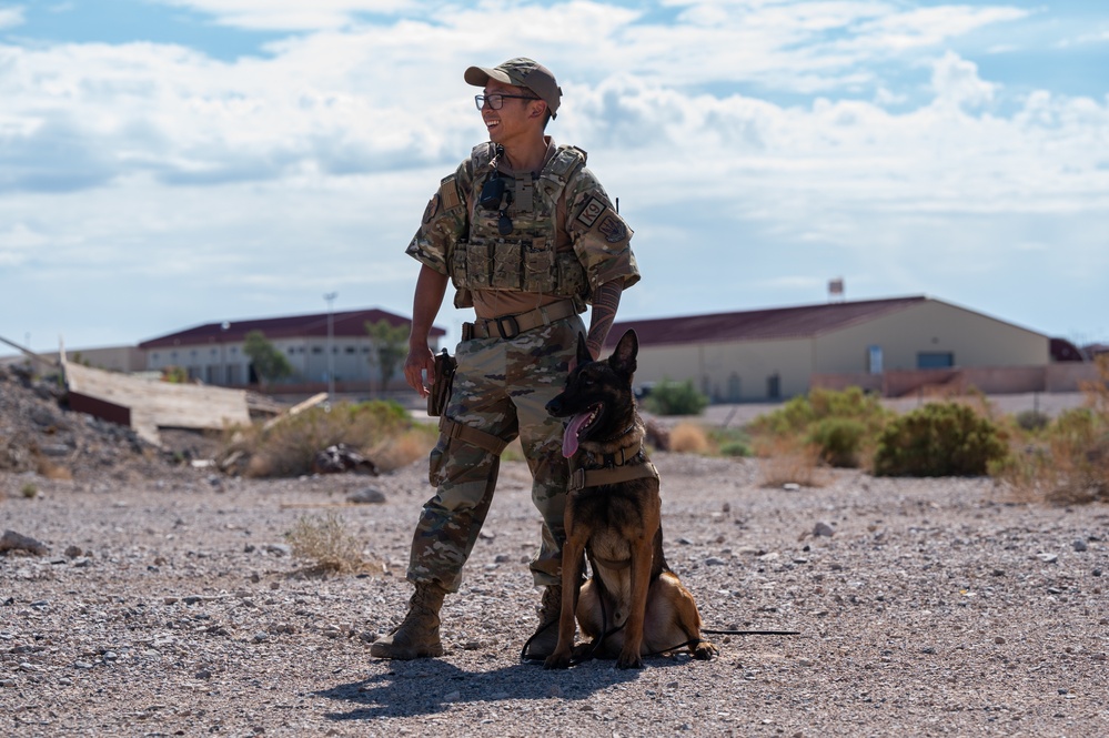 99SFS dogs at work