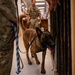 99SFS dogs at work