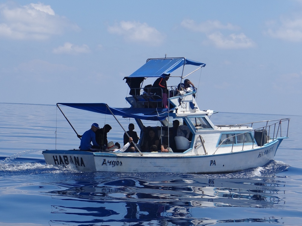 Coast Guard repatriates 203 people to Cuba