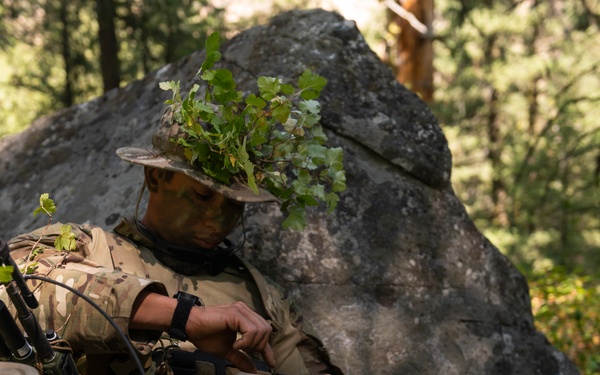 Woodland Surveillance with the ASOS