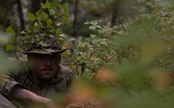 Woodland Surveillance with the ASOS