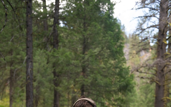 Woodland Surveillance with the ASOS