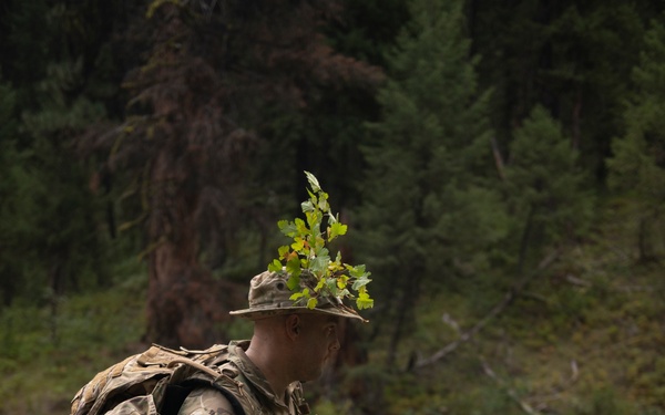 Woodland Surveillance with the ASOS